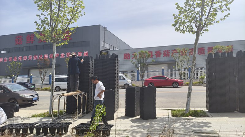 PP雨水收集模块施工全流程：从开挖到验收的关键参数与实操要点